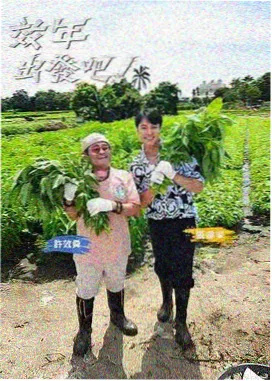 皮皮狗影视综艺观察题材图鉴封面画面